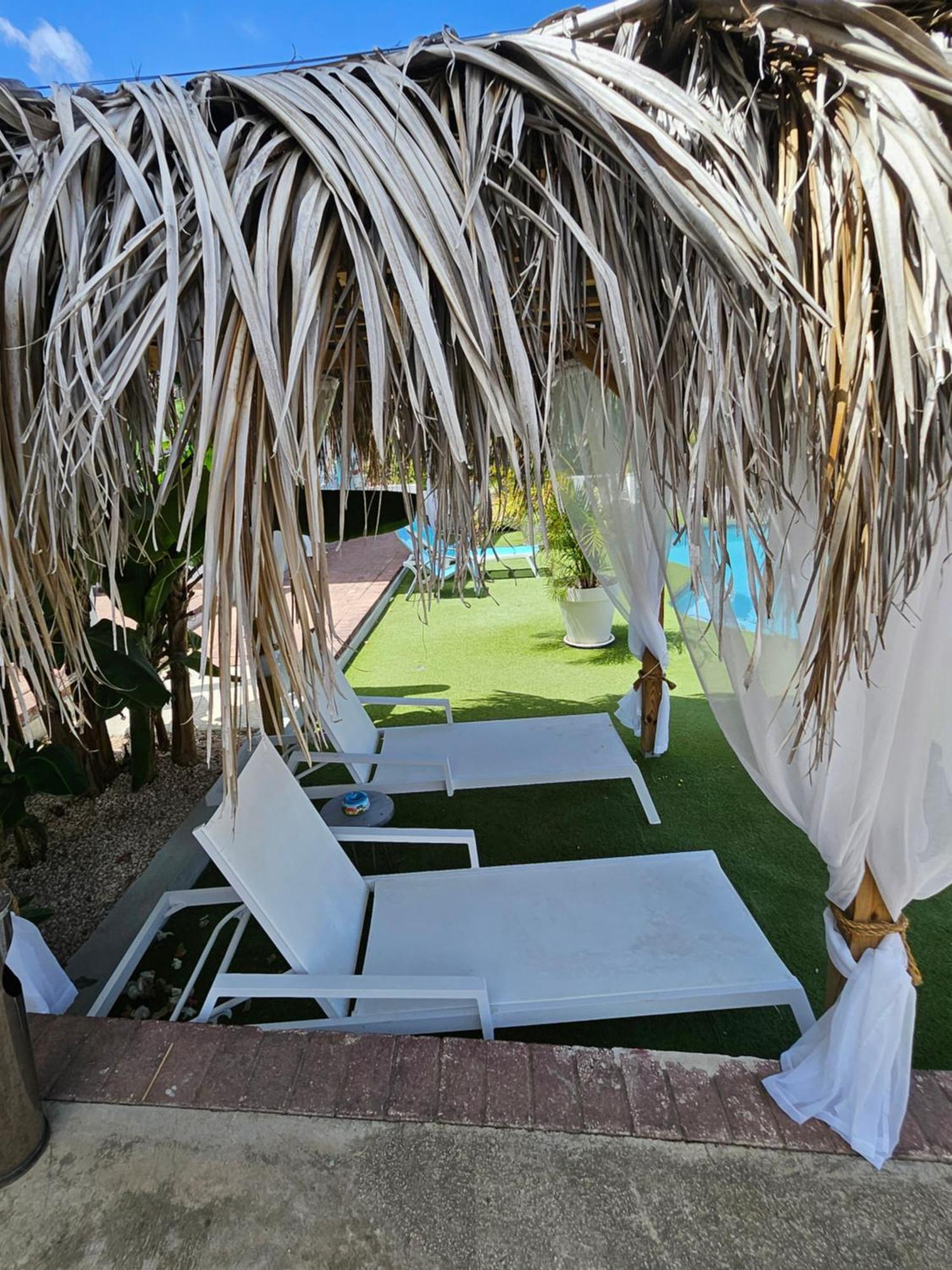 Villa Raven'S Paradise Willemstad Dış mekan fotoğraf